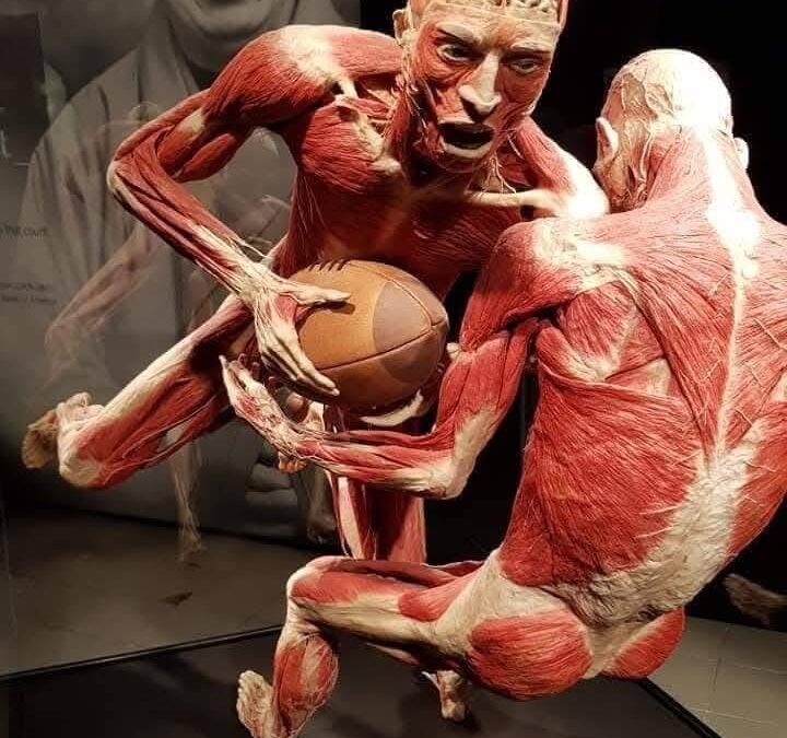 Top 5 Injuries in Australian Rules Football – And How Physiotherapy Can Help
